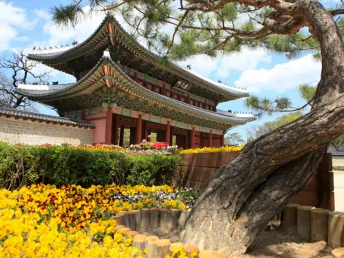 Outside Changdeokgung palace in Seoul