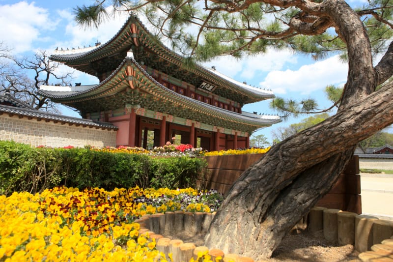 Outside Changdeokgung palace in Seoul