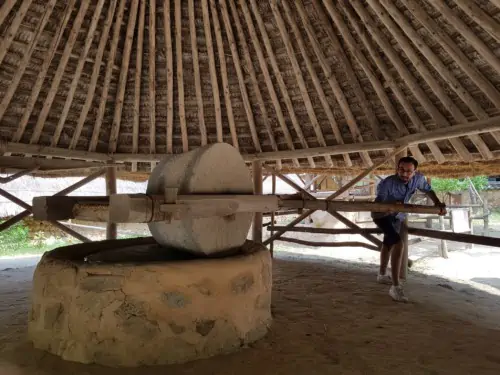 A man at the Korean Folk Village in Yongin grinding wheat with a traditional Millstone