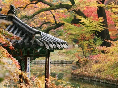 Beautiful Changdeok Palace gardens during the Autumn season