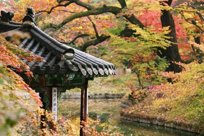 Beautiful Changdeok Palace gardens during the Autumn season