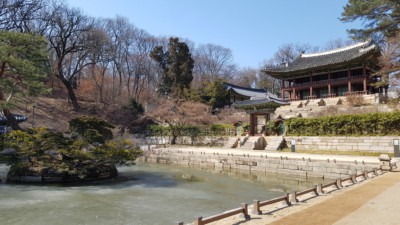 A picture of a small frozen pond inside Changdeokgung Palace in winter