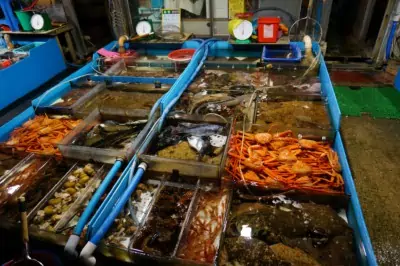 Looking at stall selling lots of different seafood inside Daepo Port market