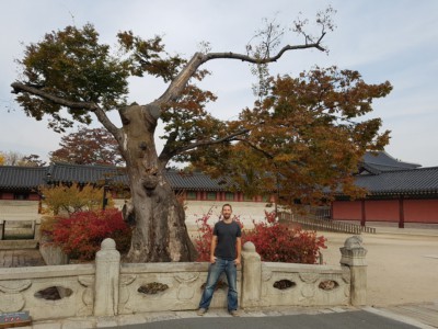 Looking at someone posing on beautiful Geumcheongyo Bridge with an Autumn colored tree and bushes in the background