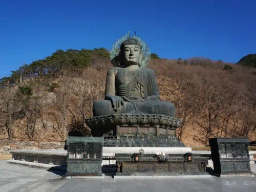 신흥사 근처에 위치한 잎이 없는 나무를 배경으로 한 거대한 불상