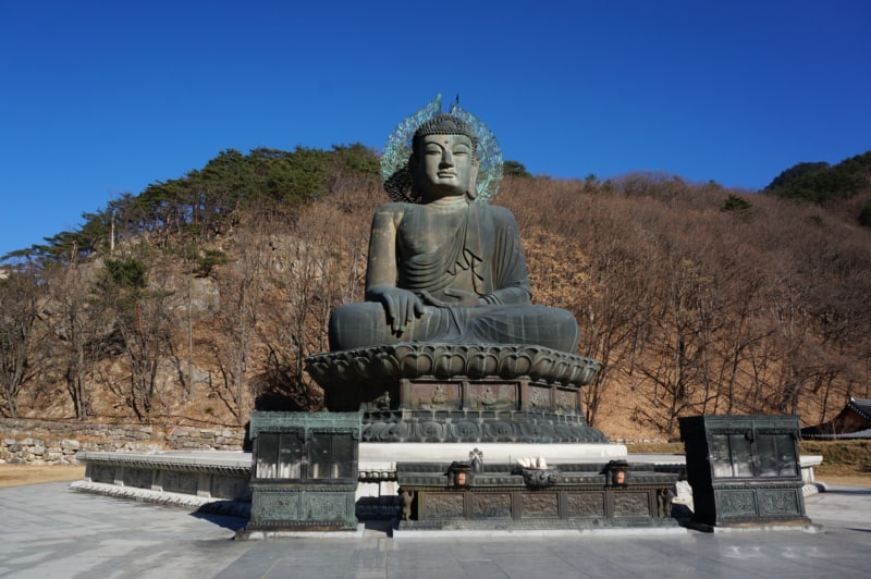 신흥사 근처에 위치한 잎이 없는 나무를 배경으로 한 거대한 불상