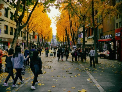 Insadong Arts and Crafts Market with bright yellow leaves on the trees in the peak of Autumn 