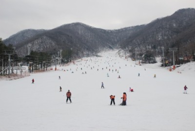 서울에서 가까운 한국의 스키 리조트, 이천에 위치한 지산 스키 리조트에서 스키를 즐길 수 있는 사람들