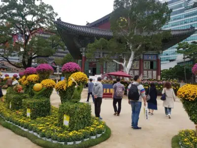 Looking at Jogyesa temple from within its colorful garden