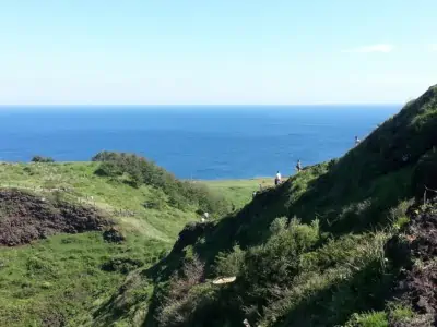 송악산을 오르는 사람들