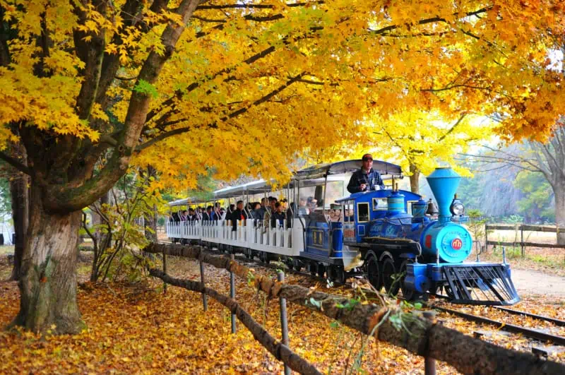 People taking a train ride around Nami Island