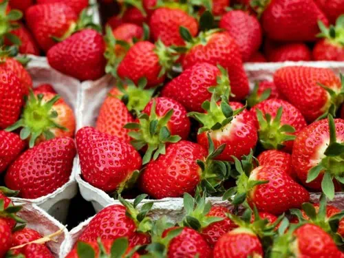 Very sweet organic Korean Strawberries