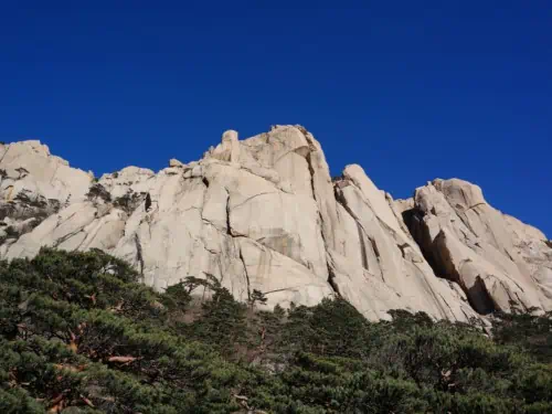 Looking up at Seorak mountain from inside the Seoraksan National Park