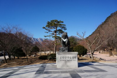 설악산 국립 공원 입구에있는 상징적 인 곰상.