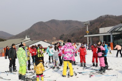 투어 그룹은 한국의 지산 리조트에서 스키 레슨을 받을 수 있습니다.