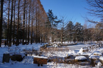 Nami Island's Space Garden with a frozen over pond in the middle