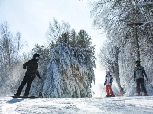 Beginners learning how to ski and snowboard in winter