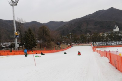 Children enjoying Jisan Ski Resort's snow sled area