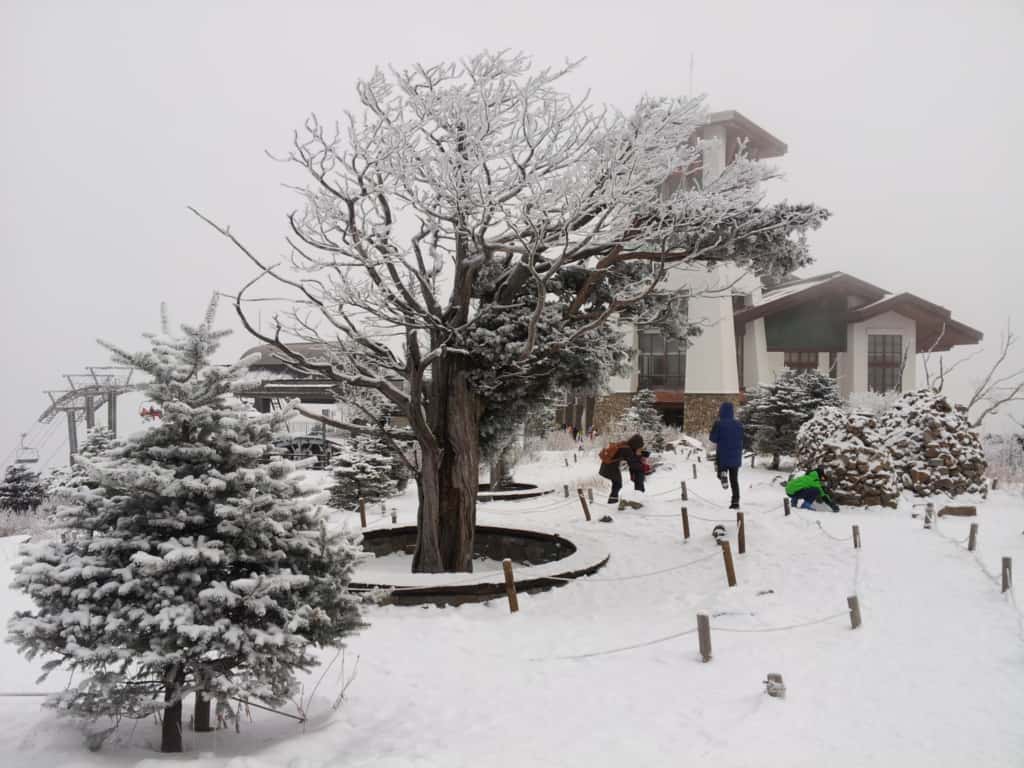 A view of Sky Garden located at Dragon Peak at the top of Mt. Balwangsan