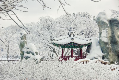 Nami Island in Korea covered in snow during Winter