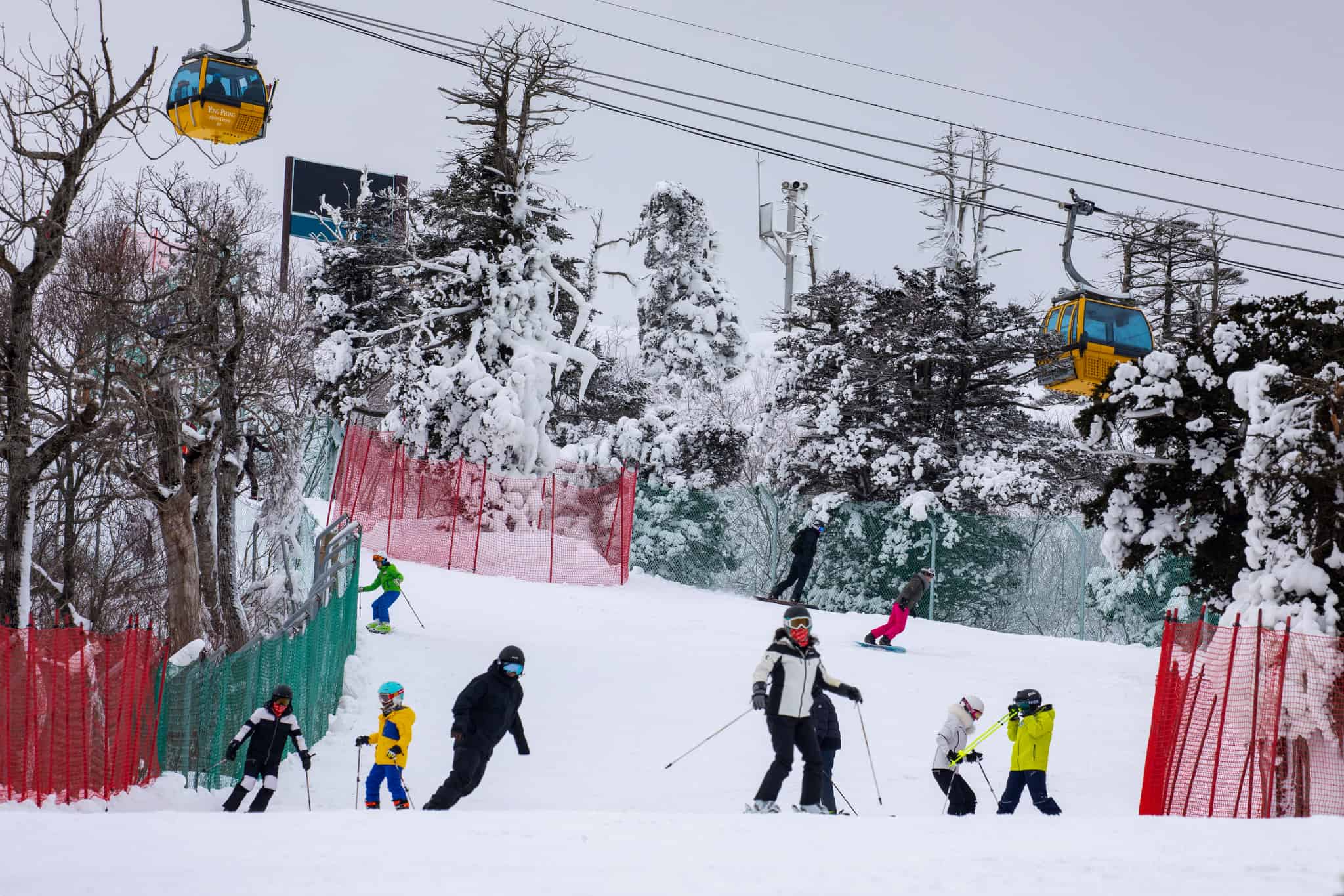 Yongpyong Ski and Stay Package 2023 | Book Now - VIP Travel