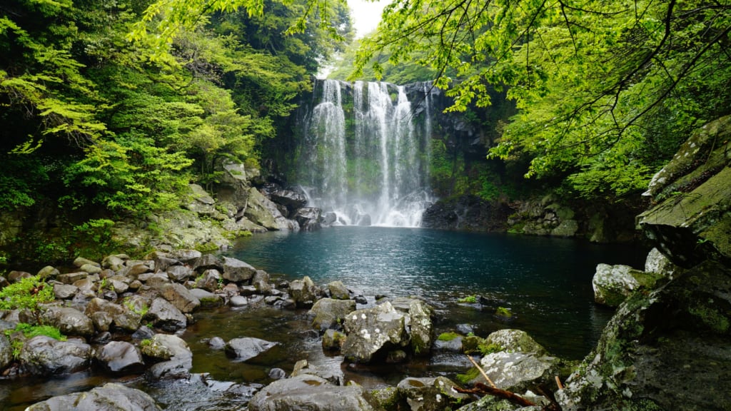 Admiring beautiful Cheonjiyeon waterfall on Jeju Island.