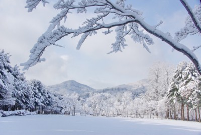 Gorgeous winter view of Nami Island covered in heavy powdered snow