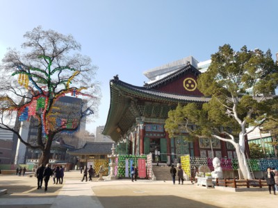 Looking at the stunning Jogyesa Buddhist Temple from within the colorful grounds