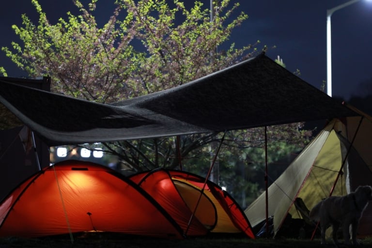 A photo of people camping in Korea at night