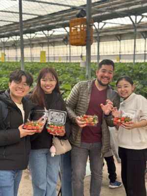 Two couples posing for a photo with their freshly picked Korean Strawberries